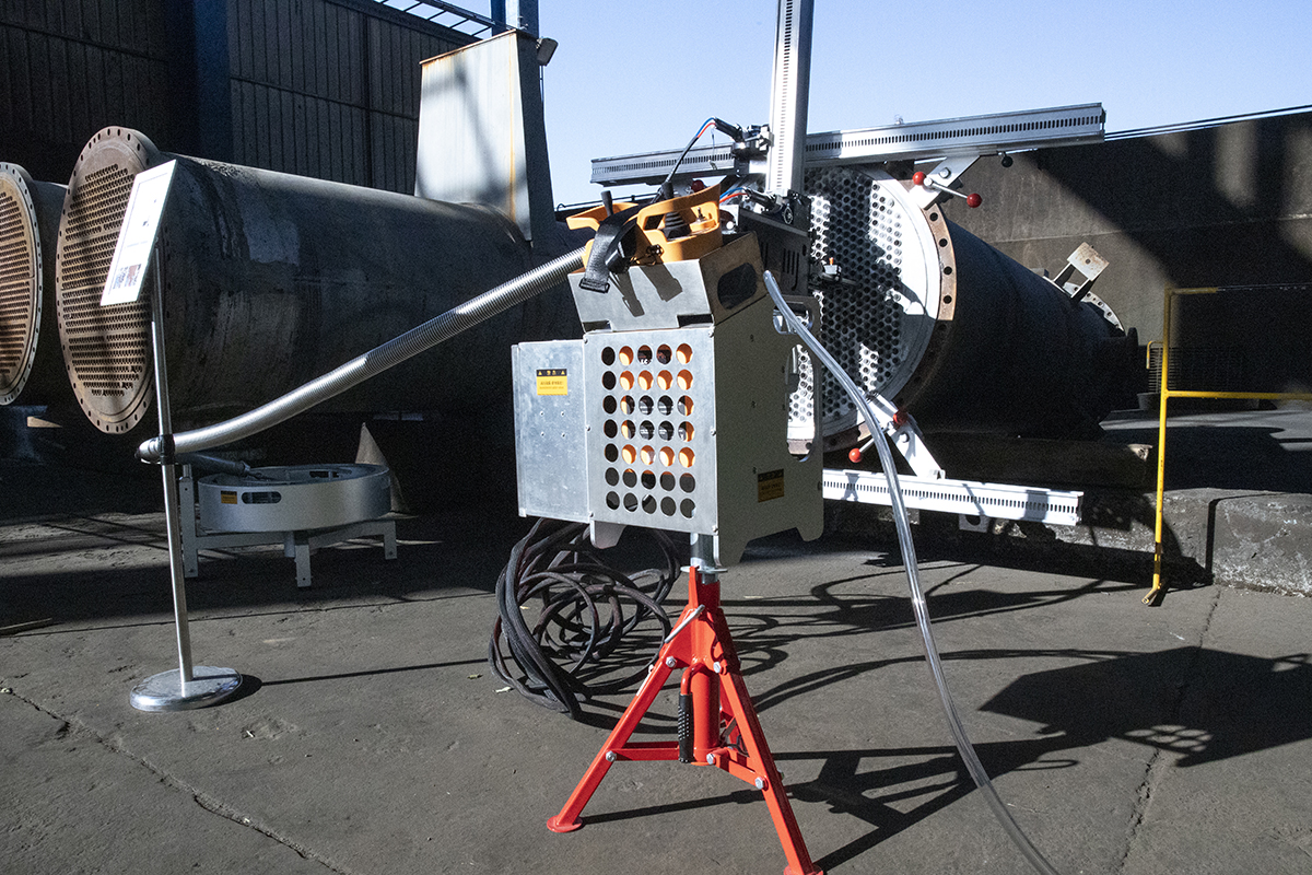 1764214138496546.jpg IMG_2387.jpg